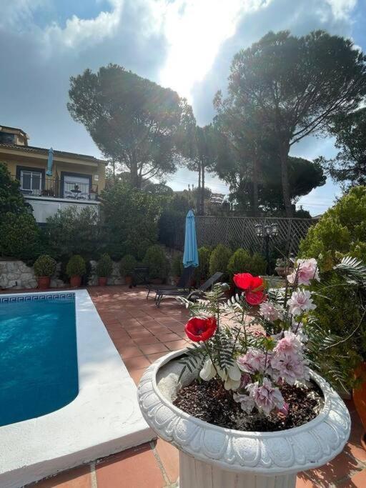 Preciosa Casa Con Vistas Al Mar Chalet *